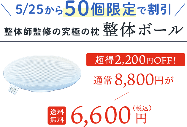 整体ボールセット送料無料税込6,600円