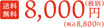 送料無料税込8800円