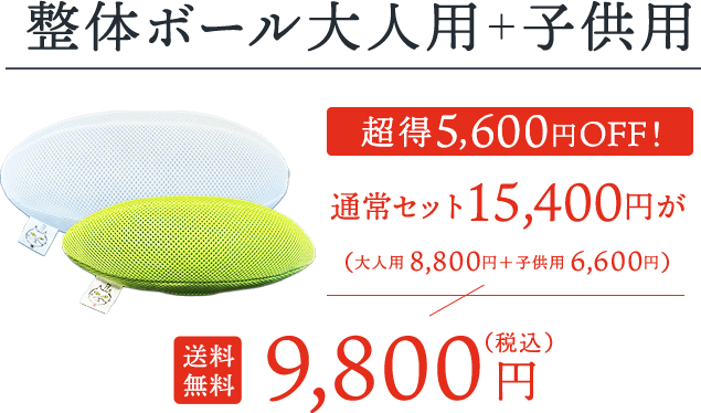整体ボールセット送料無料税込9,800円